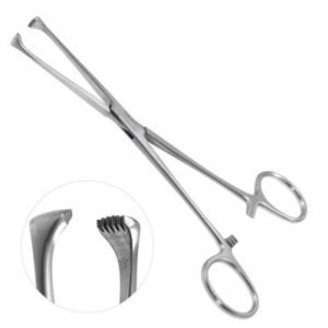 Allis Tissue Forceps (5x6 teeth)