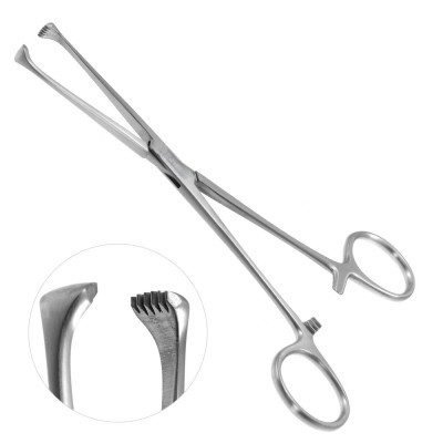 Allis Tissue Forceps (5x6 teeth)