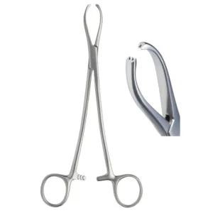 Littlewood Tissue Forceps