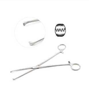 Allis Willauer Tissue Forceps 5X6 Teeth 10inch 2pc