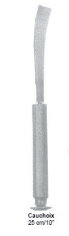 Chauchox Bone Chisel