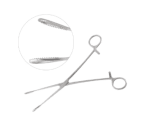 Foerster Sponge Forceps Straight 9 1by2 inch Serrated Jaws 1pc