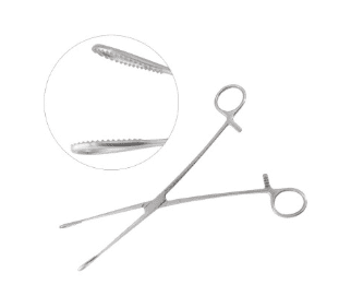 Foerster Sponge Forceps Straight 9 1by2 inch Serrated Jaws 1pc