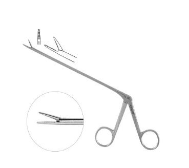 Noyes Alligator Forceps Serrated Shaft 5 1by2 inch