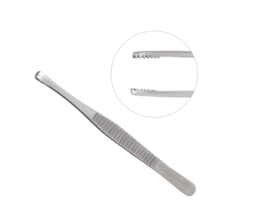Russian Tissue Forceps 10inch 2pc