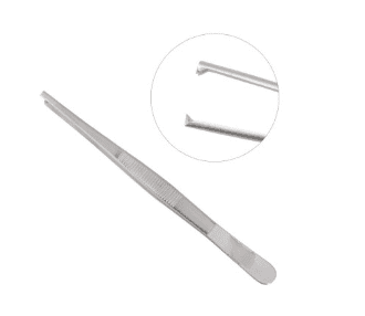 Thumb Tissue Forceps 1x2 Teeth 5 1by2 inch 1pc