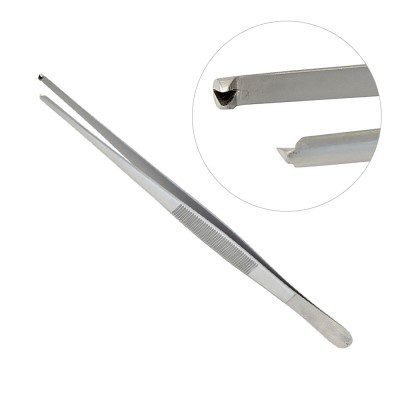 Thumb Tissue Forceps 1x2 Teeth 8inch 1pcs