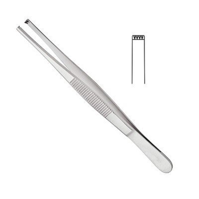 Tissue Forceps 4x5 Teeth 6inch 1pc